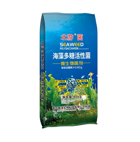 海藻多糖活性菌.jpg